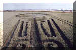 East Oakley, Hampshire crop circle, aerial photo 4