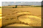 Windmill Hill, Wiltshire crop circle, aerial photo 6