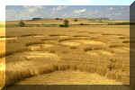 Windmill Hill, Wiltshire crop circle, aerial photo 4