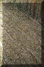 Murcar, Scotland crop circle, aerial photo 5