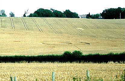 Nettleden, Hertfordshire crop circle, aerial photo 2