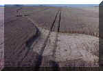 Etchilhampton, Wiltshire crop circle, aerial photo 5