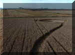 Etchilhampton, Wiltshire crop circle, aerial photo 10