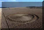 Etchilhampton, Wiltshire crop circle, aerial photo 11