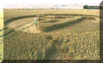 Roundway, Wiltshire (2nd formation) crop circle, aerial photo 3