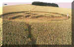Roundway, Wiltshire (2nd formation) crop circle, aerial photo 4