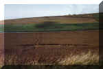 Ovingdean, Sussex crop circle, aerial photo 2