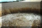 Ovingdean, Sussex crop circle, aerial photo 3
