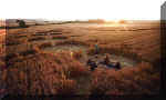 Windmill Hill, Wiltshire crop circle, aerial photo 10