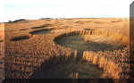 Windmill Hill, Wiltshire crop circle, aerial photo 9