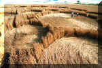 Windmill Hill, Wiltshire crop circle, aerial photo 7