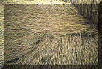 Etchilhampton, Wiltshire crop circle, aerial photo 12