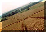 Woodborough Hill, Wiltshire crop circle, aerial photo 2
