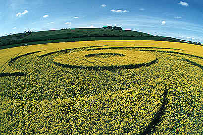 Barbury Castle, Wiltshire crop circle, aerial photo 3