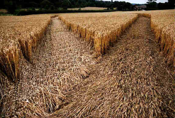 Berkhamsted/Hemel Hempstead, Hertfordshire crop circle, aerial photo 3