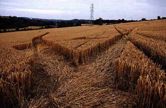 Berkhamsted/Hemel Hempstead, Hertfordshire crop circle, aerial photo 4