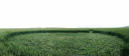 Down Thomas, Devon crop circle, aerial photo 3