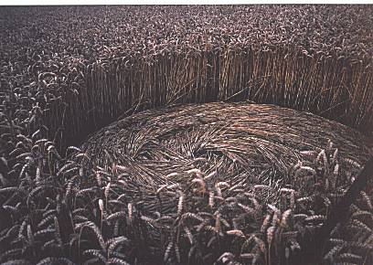 Toot Balden, Oxforedshire crop circle, aerial photo 2