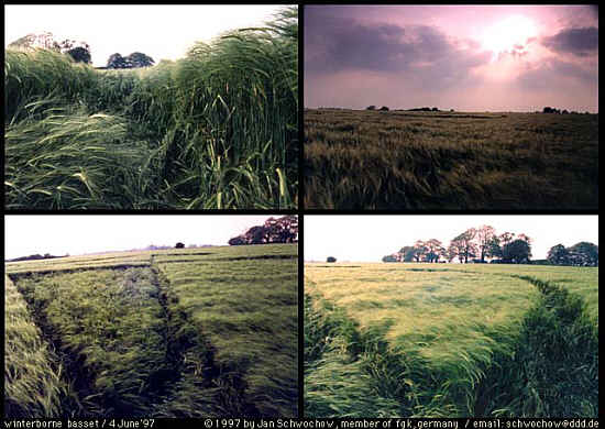 Winterbourne Bassett, Wiltshire crop circle, aerial photo 5