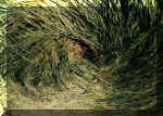 Hammerwich, Staffordshire crop circle, aerial photo 4