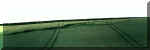 Hammerwich, Staffordshire crop circle, aerial photo 8
