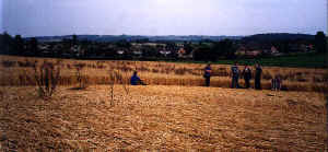 Areley Common, Herefrodshire crop circle, aerial photo 3