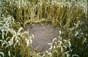 Areley Common, Herefrodshire crop circle, aerial photo 5
