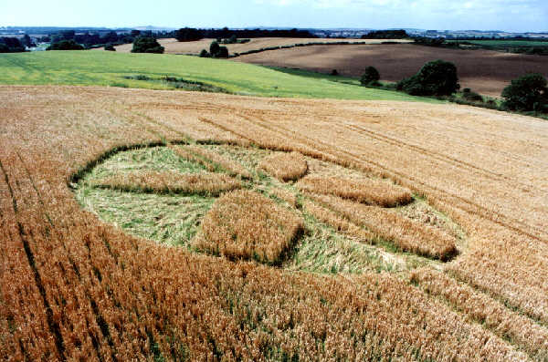 Cannard's Grave, Somerset crop circle, aerial photo 2