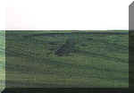 Yoxall, Staffordshire crop circle, aerial photo 4