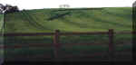 Yoxall, Staffordshire crop circle, aerial photo 2