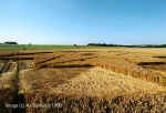 Beckhampton (4), Wiltshire crop circle, aerial photo 3