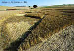 Beckhampton (4), Wiltshire crop circle, aerial photo 4