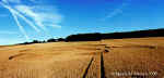 Lockeridge (3), Wiltshire crop circle, aerial photo 7