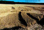 Lockeridge (3), Wiltshire crop circle, aerial photo 8