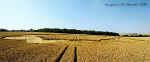 ajtawsmead2.jpg (34170 bytes)