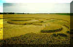 Beckhampton (3), Wiltshire crop circle, aerial photo 5