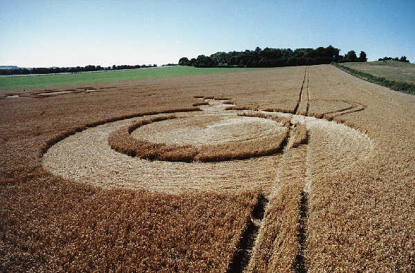 Danebury Rings (2), Hampshire crop circle, aerial photo 2