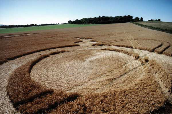 Danebury Rings (2), Hampshire crop circle, aerial photo 3