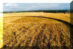 Milk Hill, Wiltshire crop circle, aerial photo 18