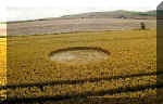 Milk Hill, Wiltshire crop circle, aerial photo 19