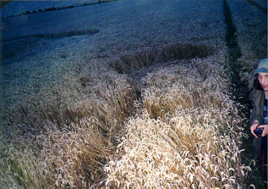 Furze Hill, Wiltshire crop circle, aerial photo 2