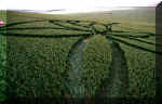 Avebury Stones, Wiltshire crop circle, aerial photo 7