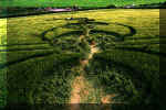 Lockeridge, Wiltshire crop circle, aerial photo 5