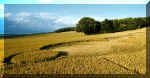 West Woods, Wiltshire crop circle, aerial photo 3