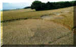 West Woods, Wiltshire crop circle, aerial photo 5