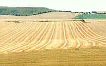 Milk Hill, Wiltshire crop circle, aerial photo 20