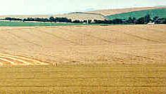 Milk Hill, Wiltshire crop circle, aerial photo 21