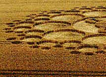 Milk Hill, Wiltshire crop circle, aerial photo 22