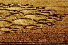 Milk Hill, Wiltshire crop circle, aerial photo 23