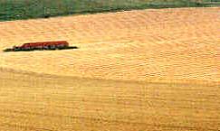 Milk Hill, Wiltshire crop circle, aerial photo 25